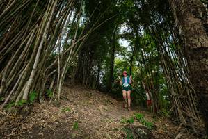 BIB: 
                            <button type="button" onclick="openModal(19395966)" class="btn btn-primary btn-sm float-right btn-popup" data-toggle="modal" data-target=".modal-high-quality">
                        <i class="fas fa-shopping-cart"></i> Add to Cart
                    </button>
                                            <button type="button" onclick="isThisMe(19395966, true)" class="btn btn-success btn-sm float-right btn-popup btn-isme hidden" data-toggle="tooltip" data-placement="bottom" title="นี่คือรูปของคุณใช่ไหม คลิกที่นี่เพื่อเอาเข้าอัลบั้ม">
                        <i class="fas fa-plus"></i> Add to album
                    </button>
                    <button type="button" onclick="isThisMe(19395966, false)" class="btn btn-warning btn-sm float-right btn-popup btn-isnotme hidden">
                        <i class="fas fa-ban"></i> Remove from album
                    </button>